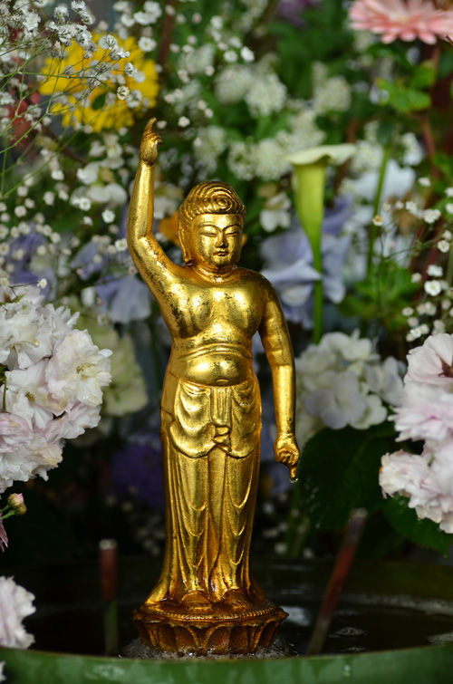 DSC_3459ーsp