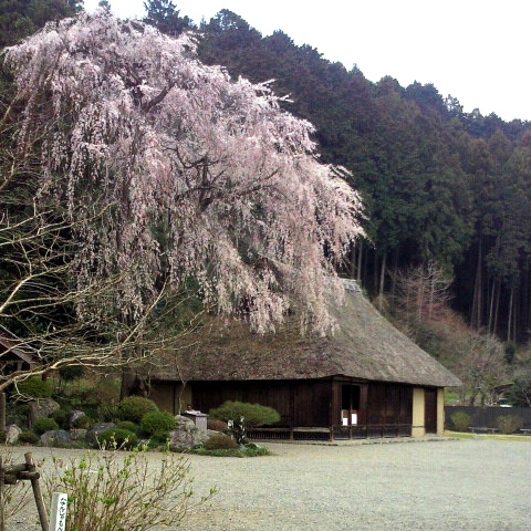 2010年04月|青山五行ブログ|青山五行
